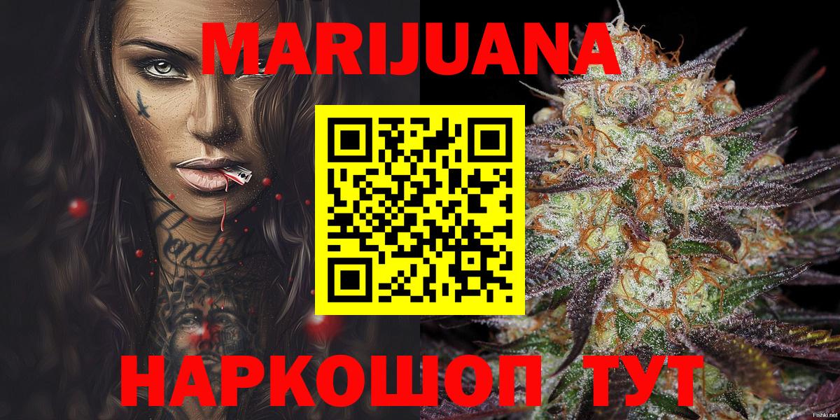 Каннабис сатива Нефтекумск